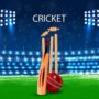 world of cricket