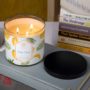 mango papaya aroma scented candle by ekam mango papaya aroma scented candle by ekam wmgtyh